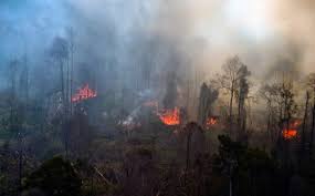 Belasan hotspot di Riau terdeteksi dua titik (foto/int)